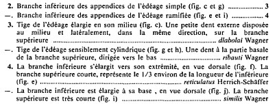 Genere Dryodurgades [ancora in studio]